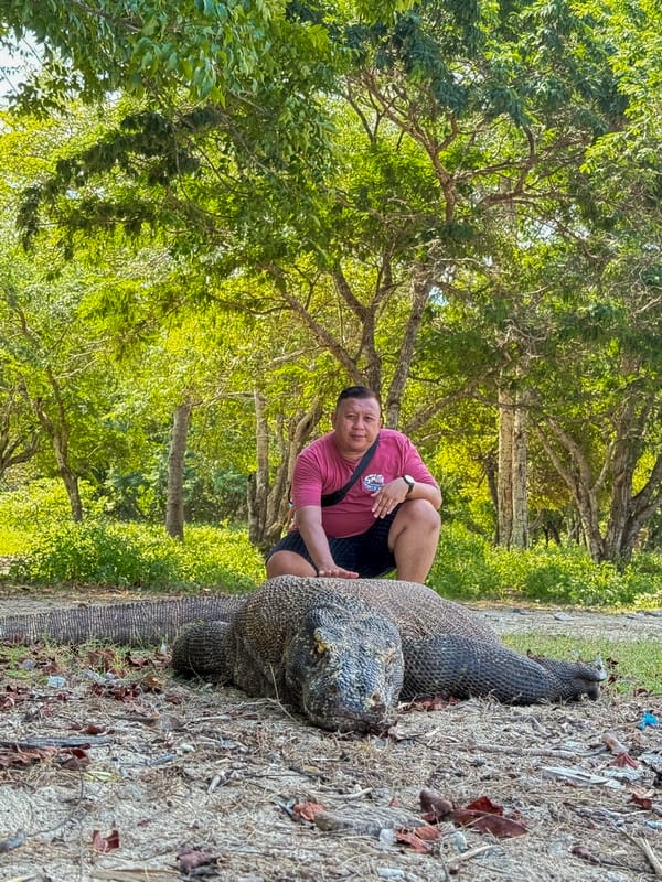 melihat secara langsung Komodo pada Solo Trip Labuan Bajo 4D3N